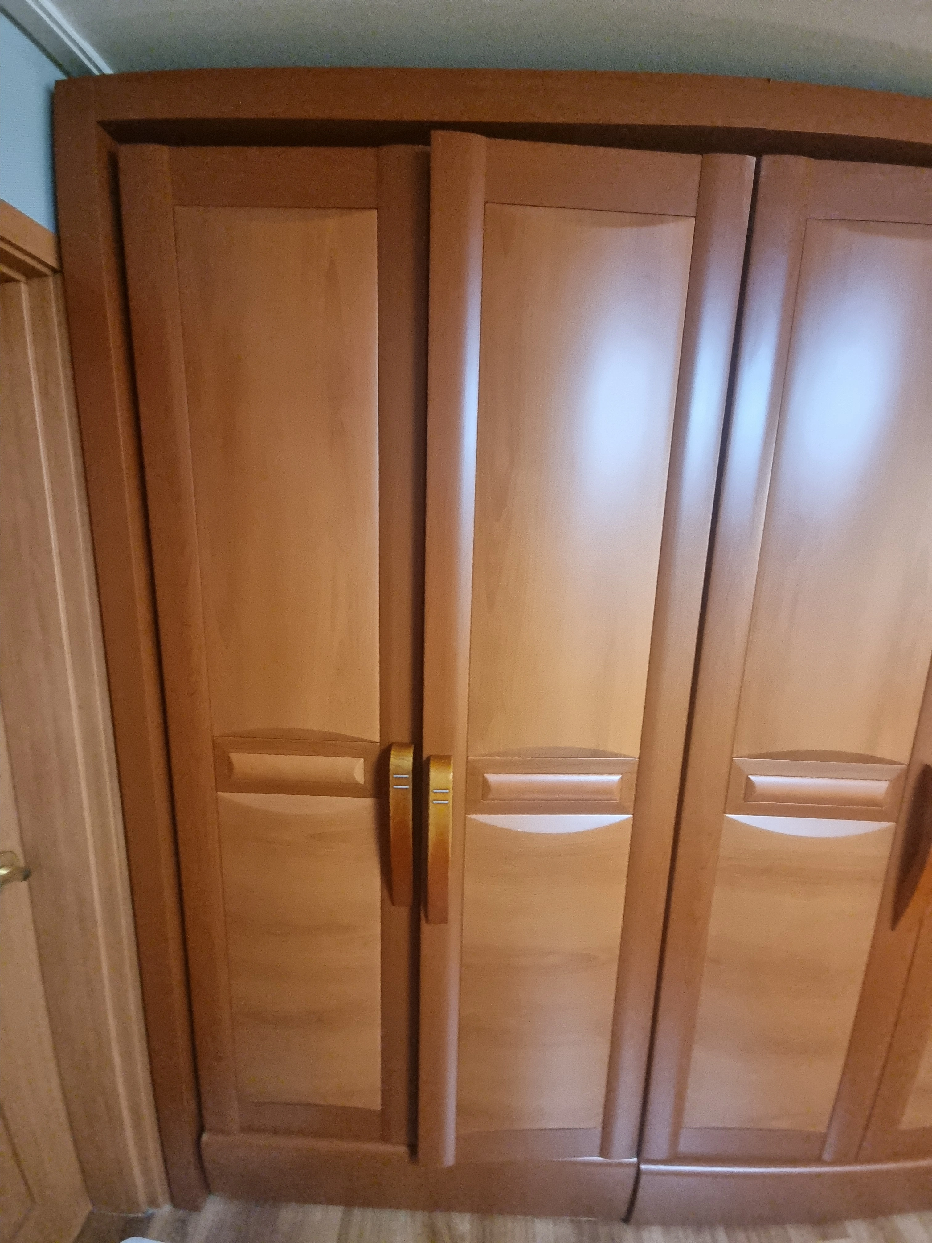 집케어마스터 로고